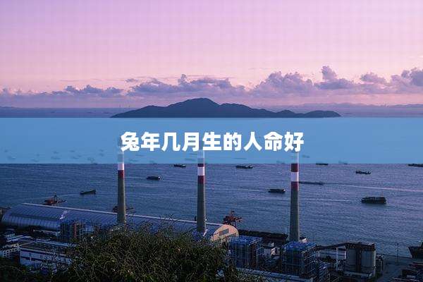 兔年几月生的人命好