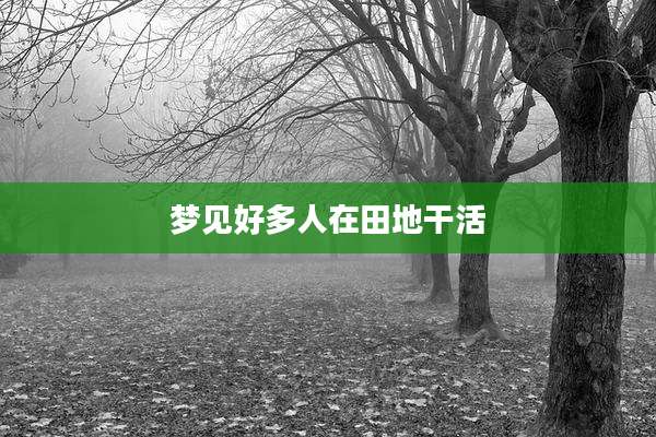 梦见好多人在田地干活