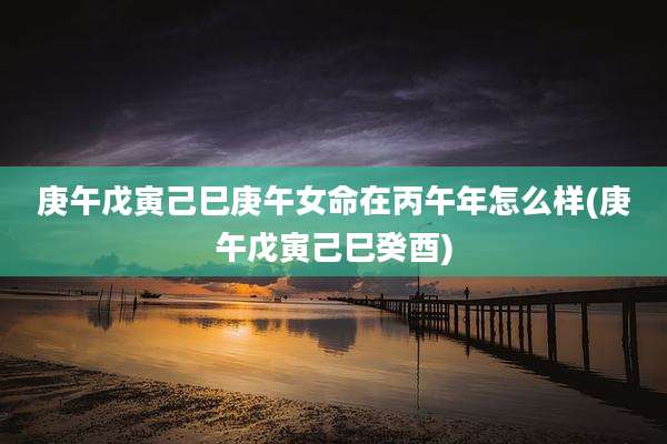 庚午戊寅己巳庚午女命在丙午年怎么样(庚午戊寅己巳癸酉)