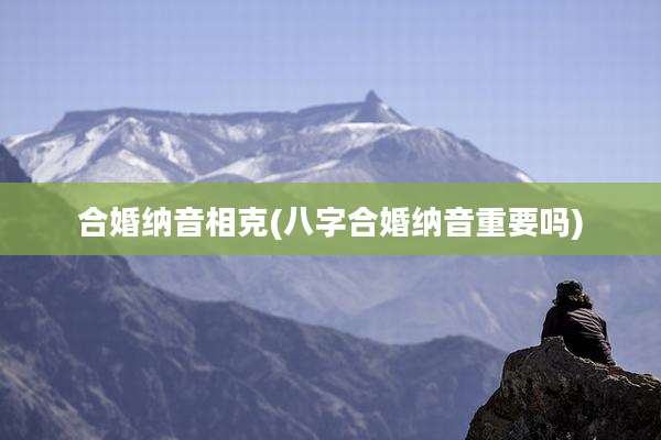 合婚纳音相克(八字合婚纳音重要吗)