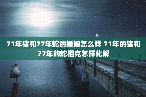 71年猪和77年蛇的婚姻怎么样 71年的猪和77年的蛇相克怎样化解