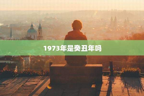1973年是癸丑年吗