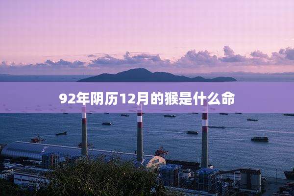 92年阴历12月的猴是什么命