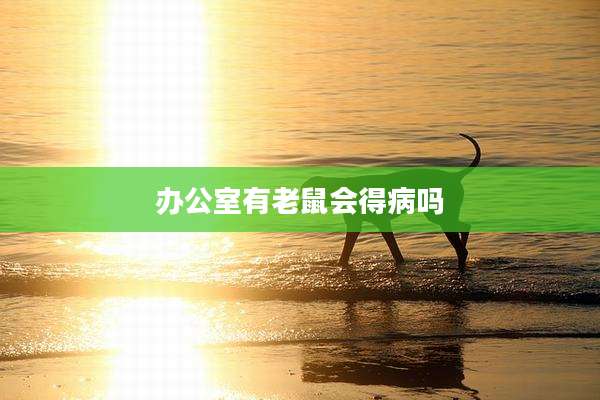 办公室有老鼠会得病吗