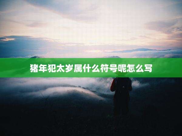 猪年犯太岁属什么符号呢怎么写