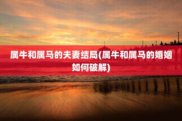 属牛和属马的夫妻结局(属牛和属马的婚姻如何破解)