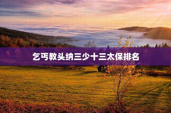 乞丐教头纳三少十三太保排名