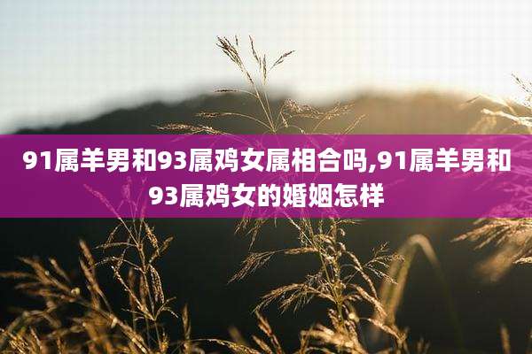 91属羊男和93属鸡女属相合吗,91属羊男和93属鸡女的婚姻怎样