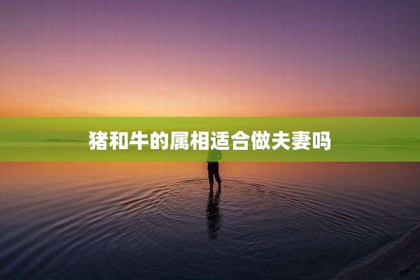 猪和牛的属相适合做夫妻吗