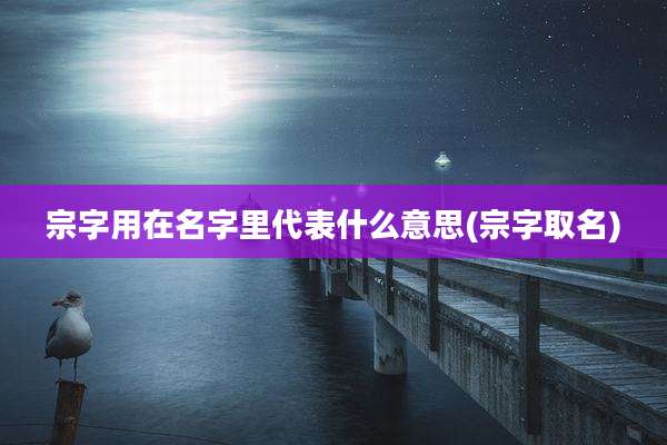 宗字用在名字里代表什么意思(宗字取名)