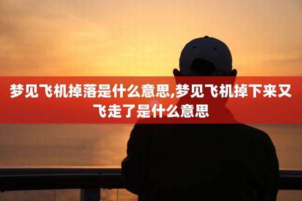 梦见飞机掉落是什么意思,梦见飞机掉下来又飞走了是什么意思