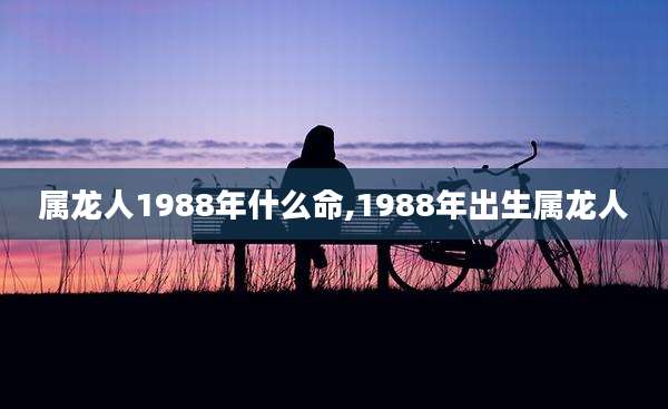 属龙人1988年什么命,1988年出生属龙人