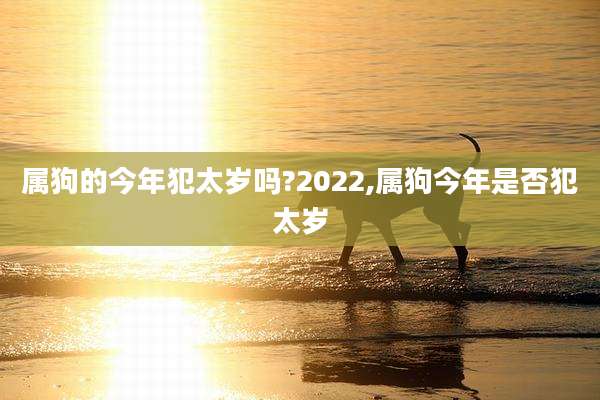 属狗的今年犯太岁吗?2022,属狗今年是否犯太岁