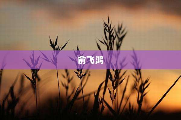 俞飞鸿