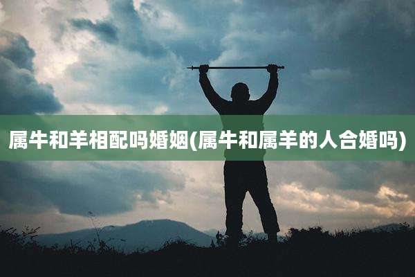 属牛和羊相配吗婚姻(属牛和属羊的人合婚吗)