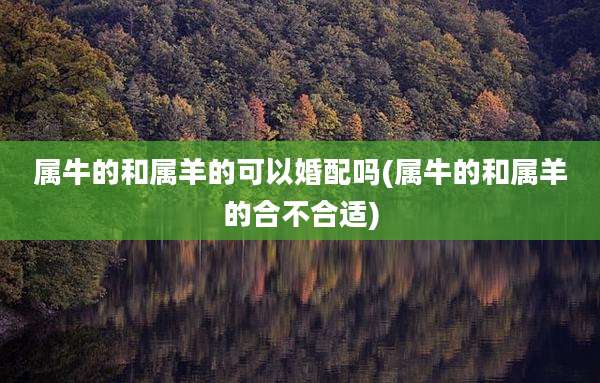属牛的和属羊的可以婚配吗(属牛的和属羊的合不合适)