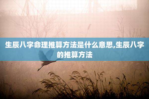 生辰八字命理推算方法是什么意思,生辰八字的推算方法