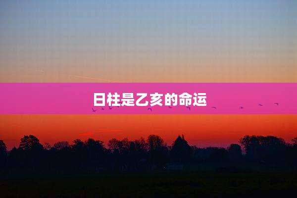 日柱是乙亥的命运