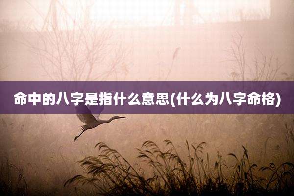 命中的八字是指什么意思(什么为八字命格)