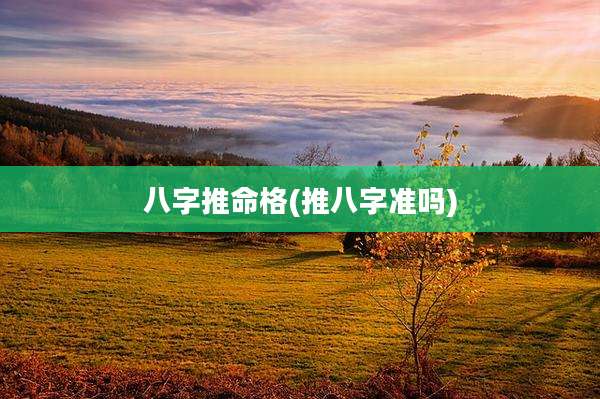 八字推命格(推八字准吗)