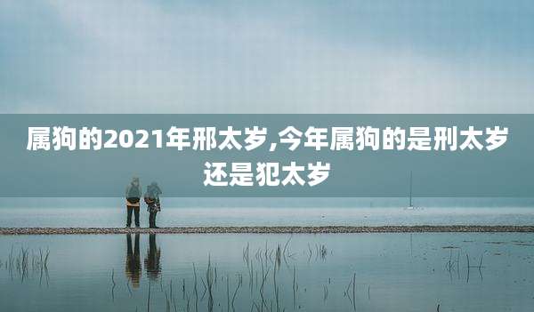 属狗的2021年邢太岁,今年属狗的是刑太岁还是犯太岁