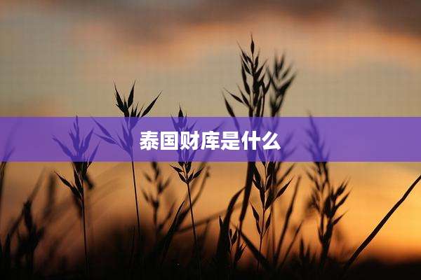 泰国财库是什么