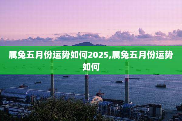 属兔五月份运势如何2025,属兔五月份运势如何