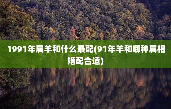 1991年属羊和什么最配(91年羊和哪种属相婚配合适)