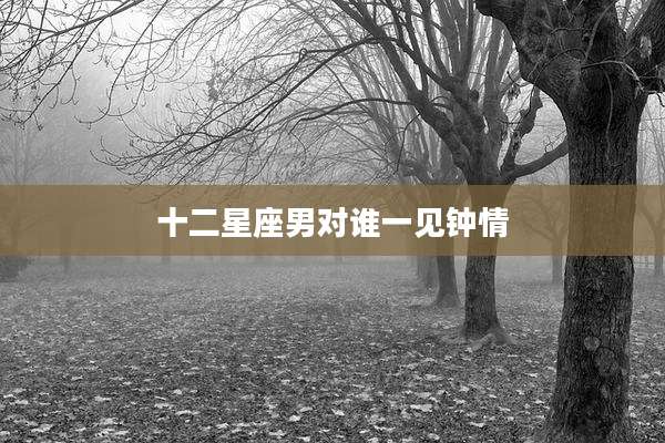 十二星座男对谁一见钟情
