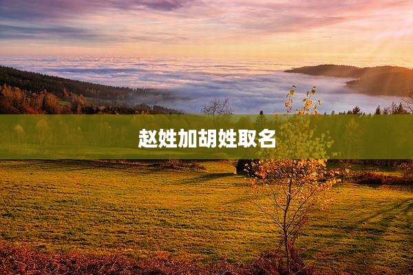 赵姓加胡姓取名