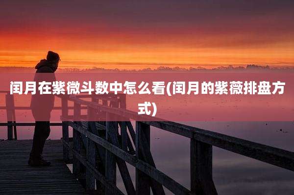 闰月在紫微斗数中怎么看(闰月的紫薇排盘方式)