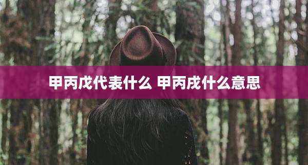 甲丙戊代表什么 甲丙戌什么意思