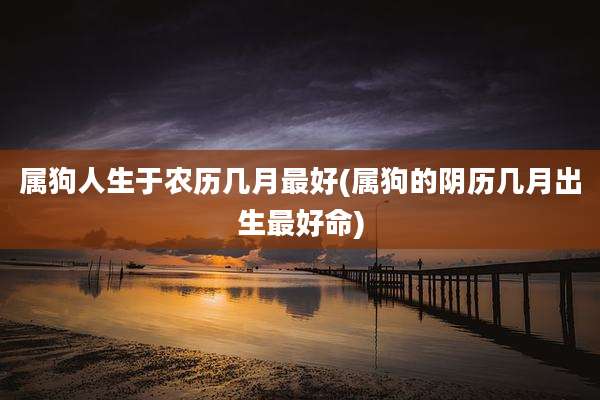 属狗人生于农历几月最好(属狗的阴历几月出生最好命)