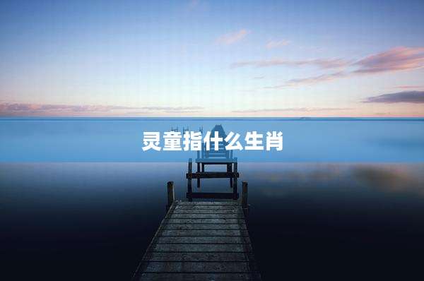 灵童指什么生肖