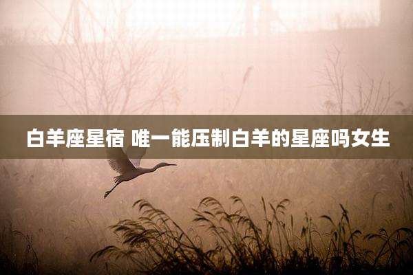 白羊座星宿 唯一能压制白羊的星座吗女生