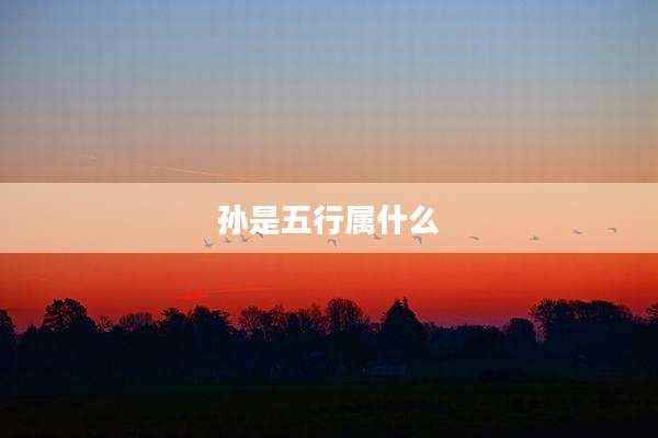 孙是五行属什么