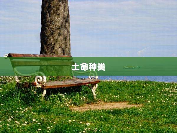 土命种类