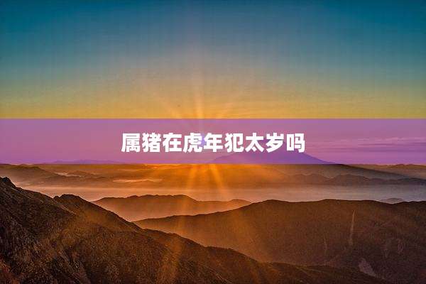 属猪在虎年犯太岁吗