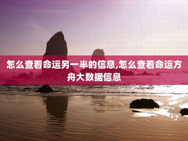 怎么查看命运另一半的信息,怎么查看命运方舟大数据信息