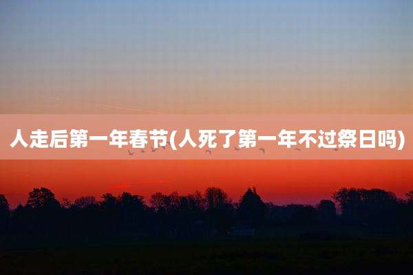 人走后第一年春节(人死了第一年不过祭日吗)