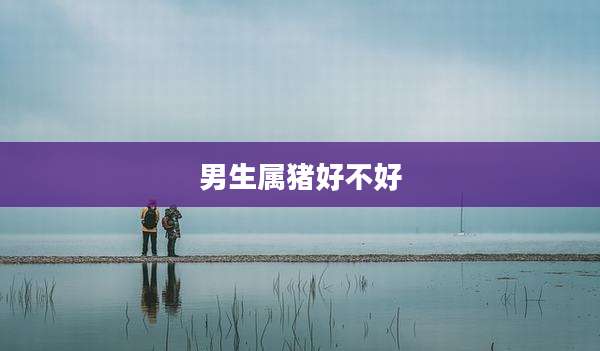 男生属猪好不好