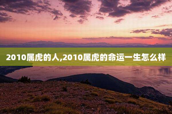 2010属虎的人,2010属虎的命运一生怎么样