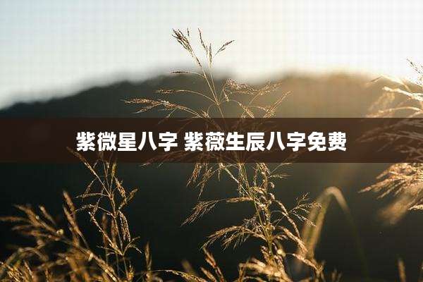 紫微星八字 紫薇生辰八字免费