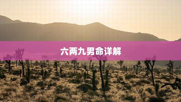 六两九男命详解
