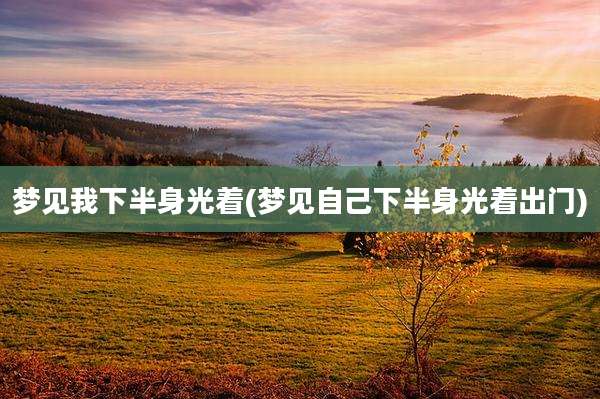 梦见我下半身光着(梦见自己下半身光着出门)