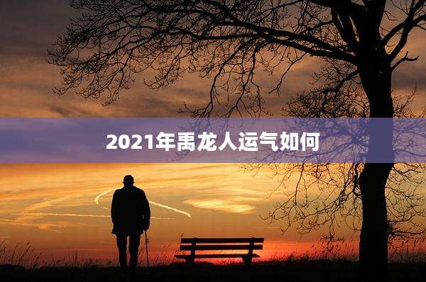 2021年禹龙人运气如何