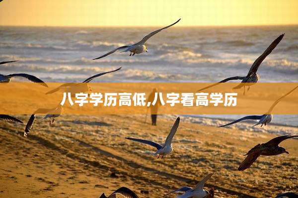 八字学历高低,八字看高学历