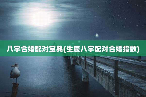 八字合婚配对宝典(生辰八字配对合婚指数)