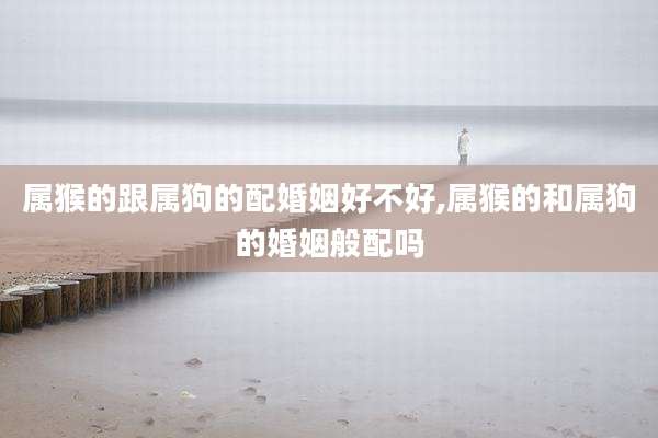 属猴的跟属狗的配婚姻好不好,属猴的和属狗的婚姻般配吗