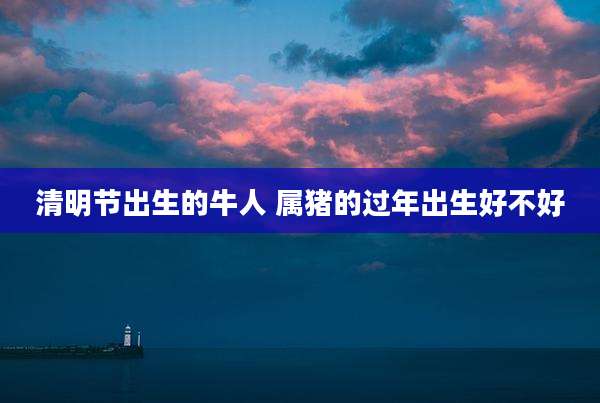 清明节出生的牛人 属猪的过年出生好不好